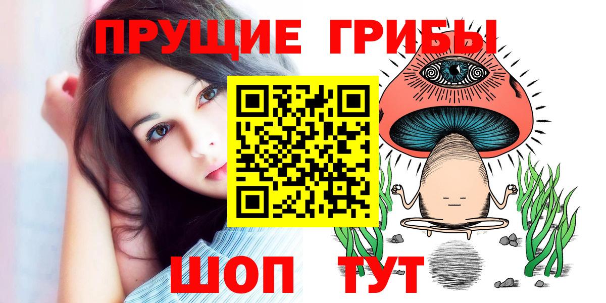 Псилоцибиновые грибы Magic Shrooms  Вход с VPN  закладка  Псилоцибиновые грибы ЛСД  Заречный 