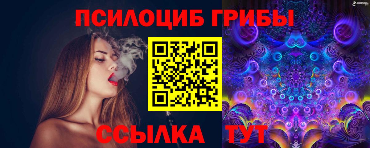 Псилоцибиновые грибы прущие грибы Заречный